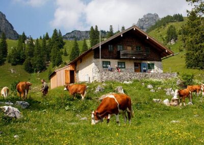 Platzhalterbild Umgebung