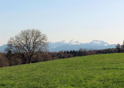 Platzhalterbild Umgebung