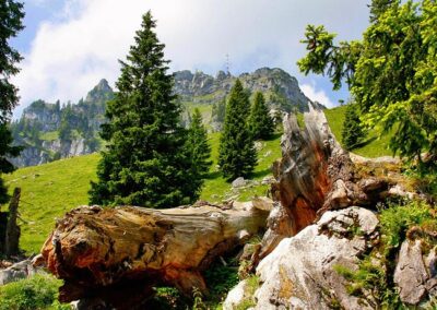 Platzhalterbild Umgebung